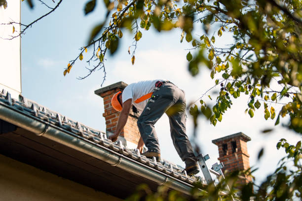 Best Roof Leak Repair  in Wtell, LA