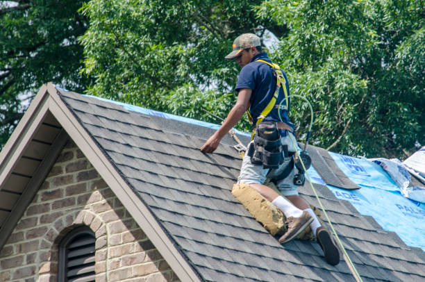 Best New Roof Installation  in Wtell, LA